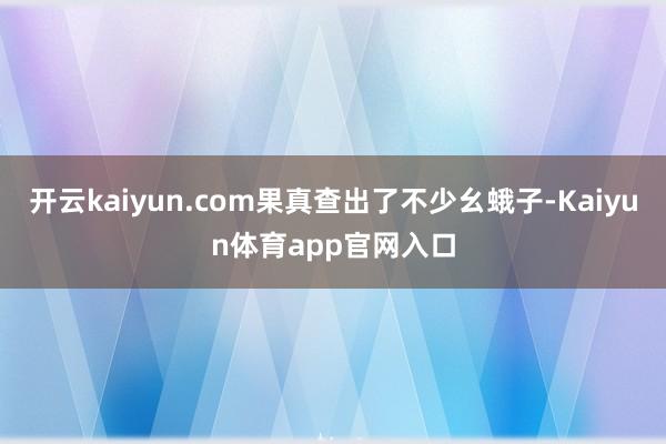 开云kaiyun.com果真查出了不少幺蛾子-Kaiyun体育app官网入口