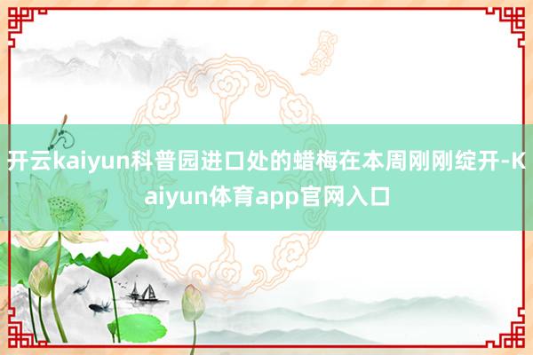 开云kaiyun科普园进口处的蜡梅在本周刚刚绽开-Kaiyun体育app官网入口